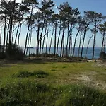 Luisa *